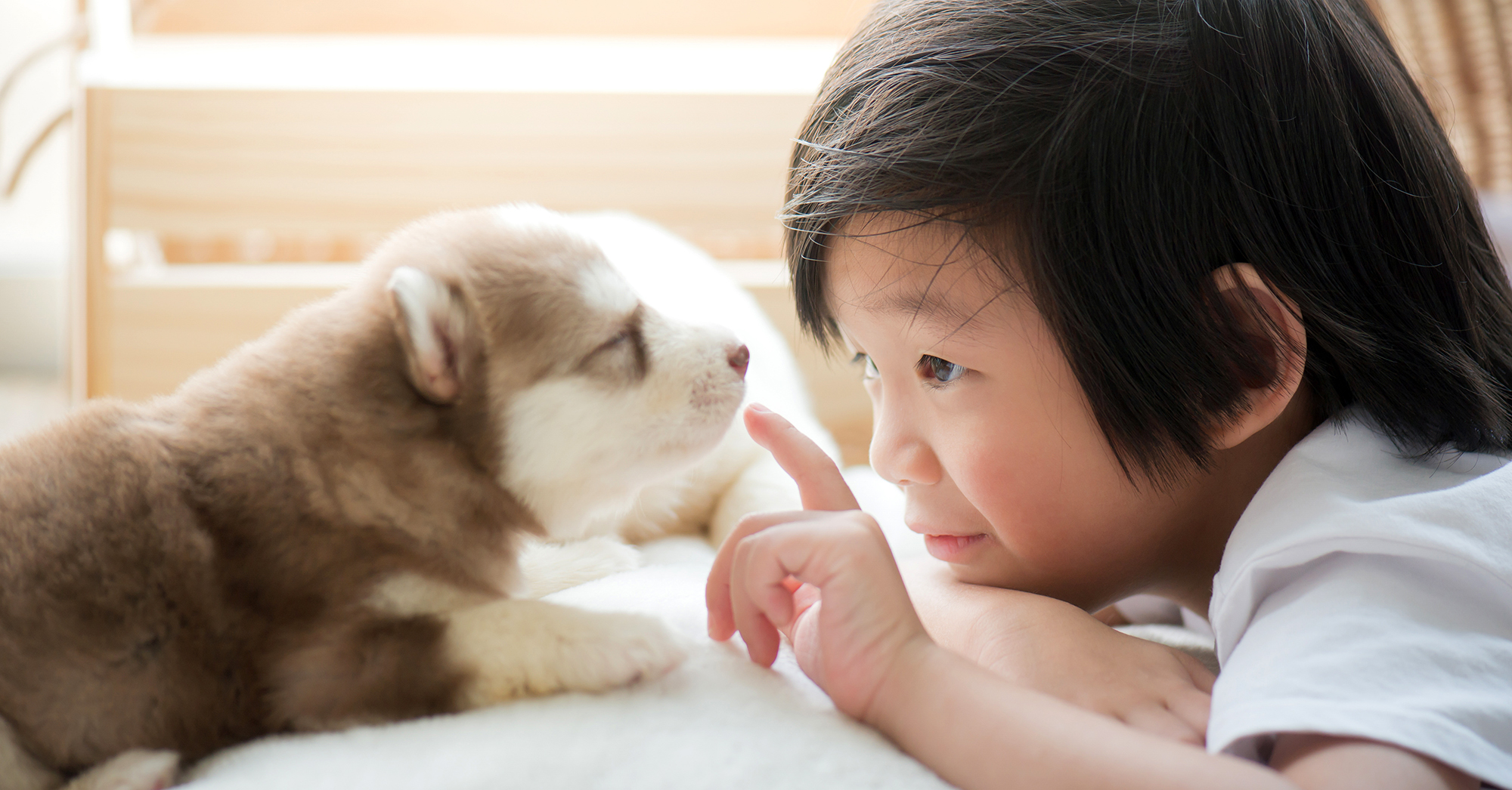 Quel animal de compagnie pour votre enfant ?