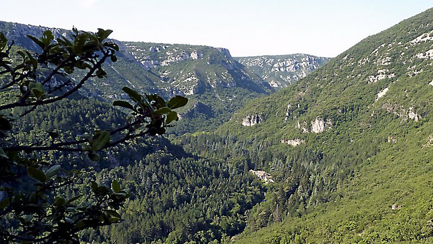 Que devez-vous voir absolument pendant votre séjour dans l’Hérault ?